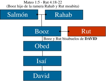 Genealog�a David